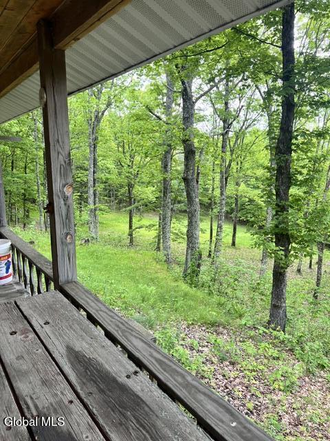 241 Minke Road Warnerville NY 12187