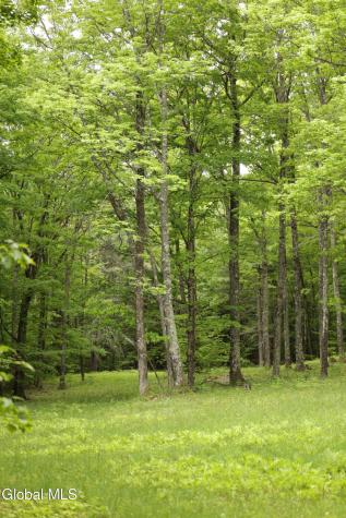 241 Minke Road Warnerville NY 12187