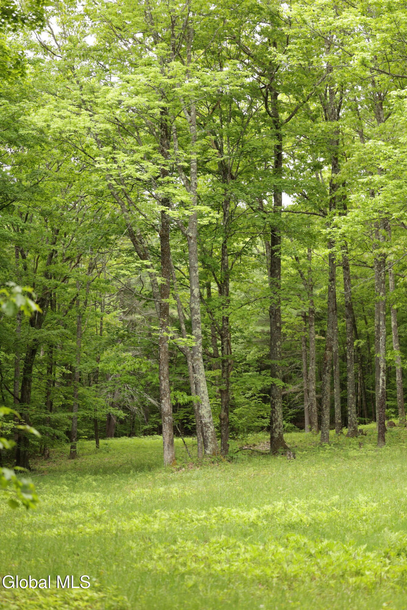 241 Minke Road Warnerville NY 12187