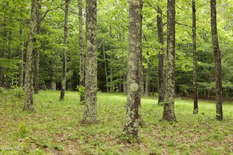 241 Minke Road Warnerville NY 12187