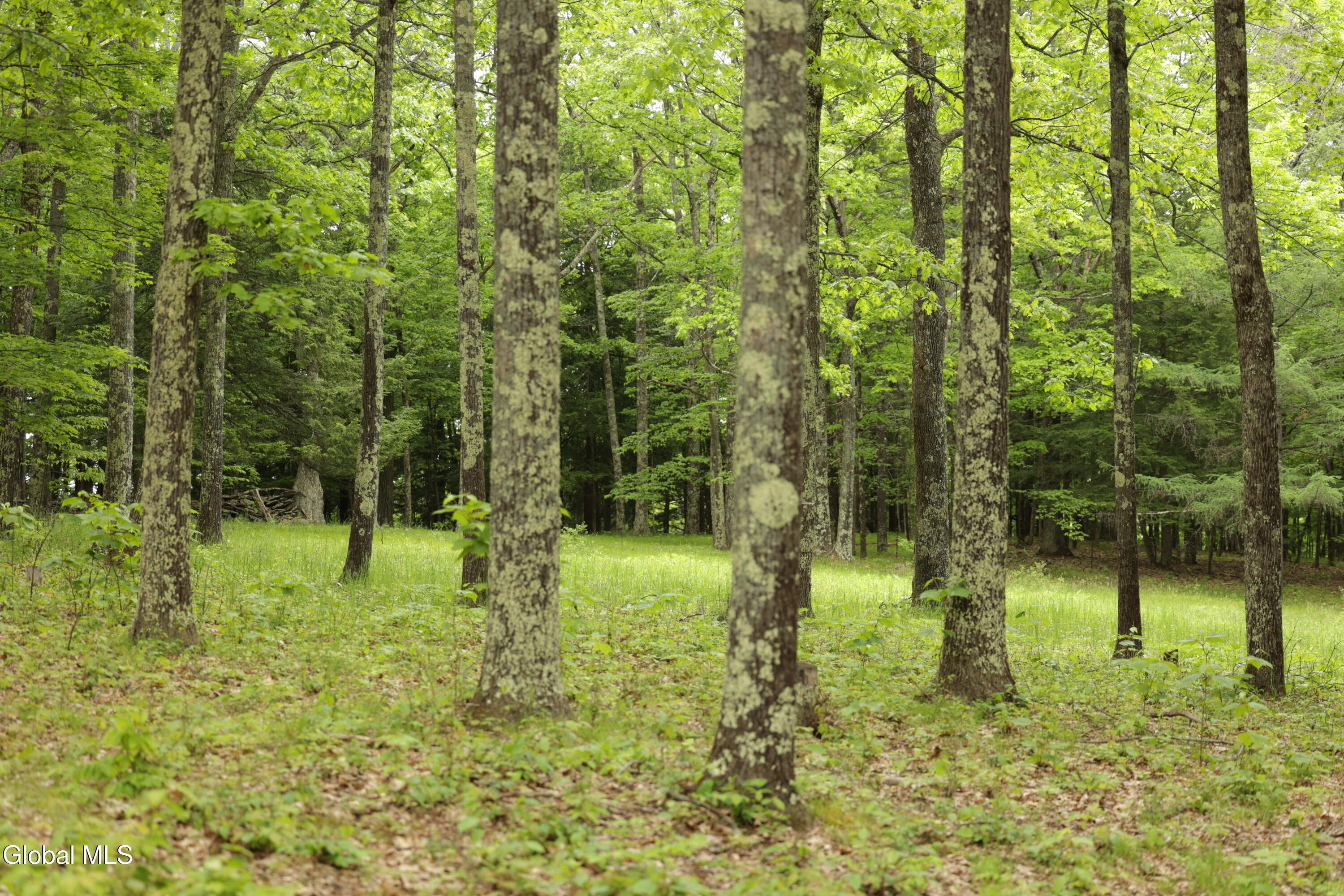 241 Minke Road Warnerville NY 12187