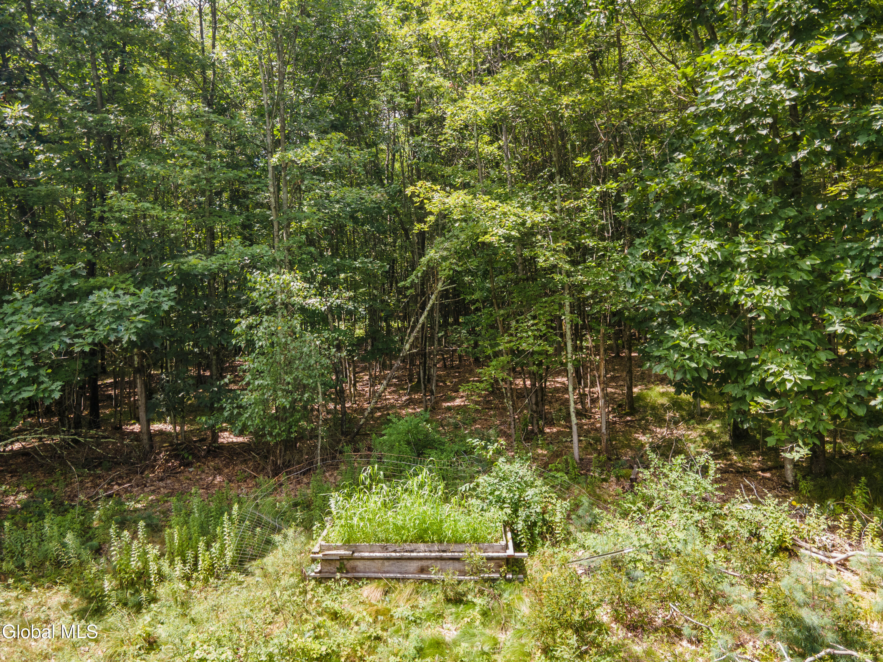 497 Turnpike Road Buskirk NY 12028