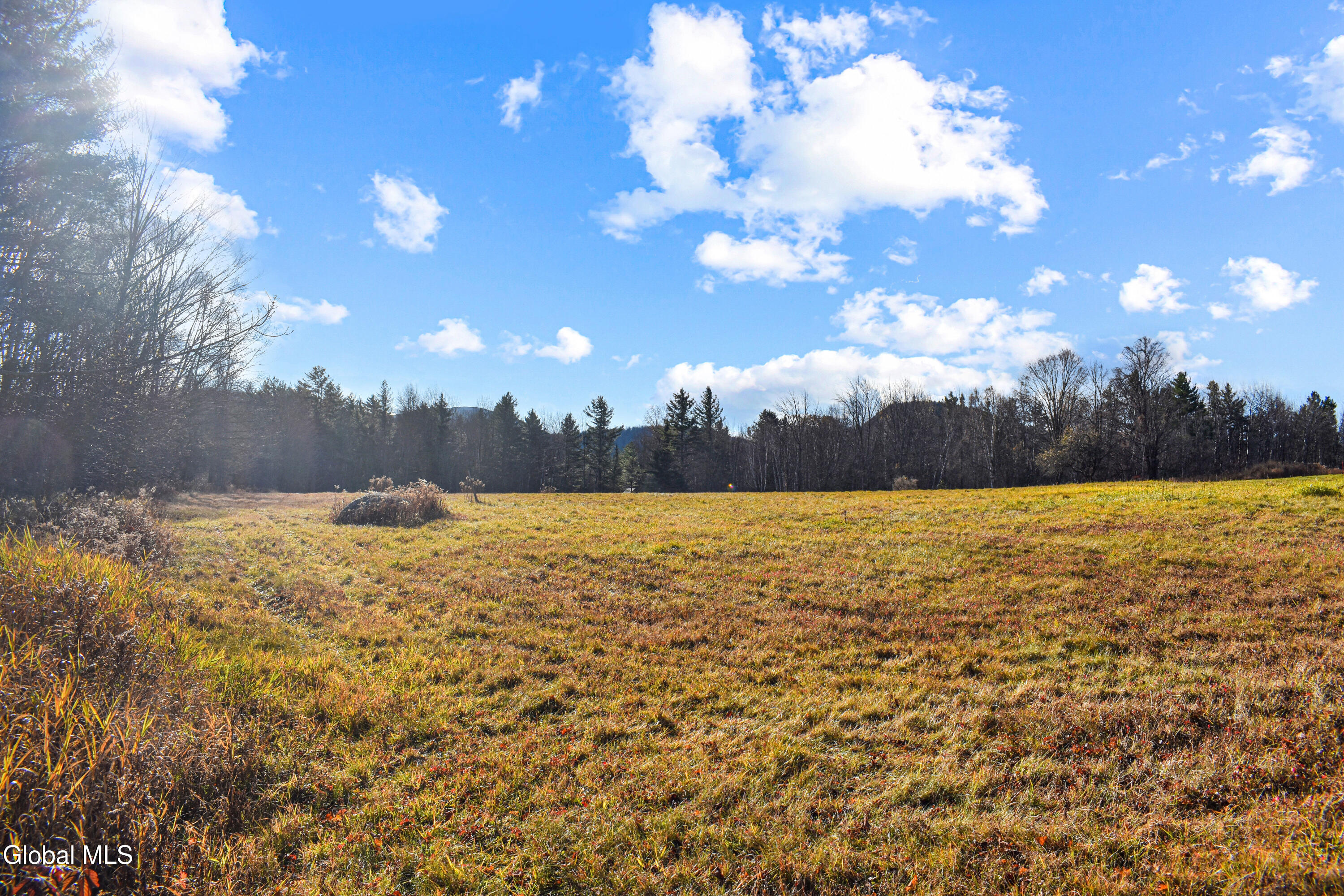 326 Harvey Road North River NY 12856