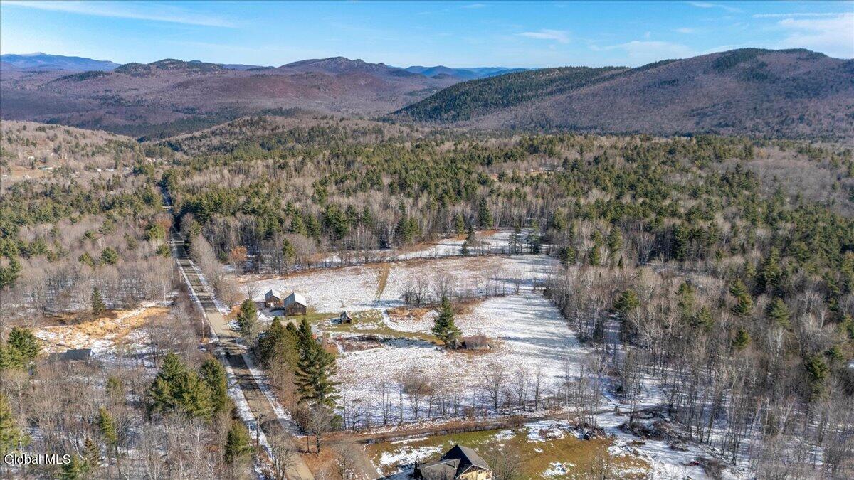 326 Harvey Road North River NY 12856