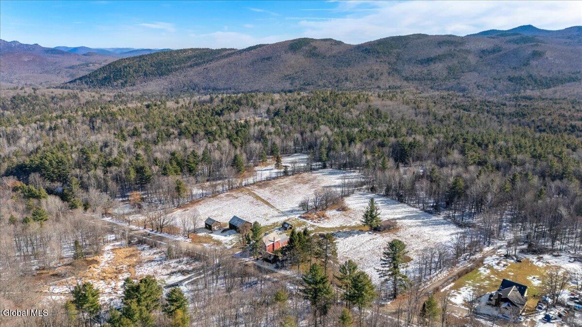 326 Harvey Road North River NY 12856