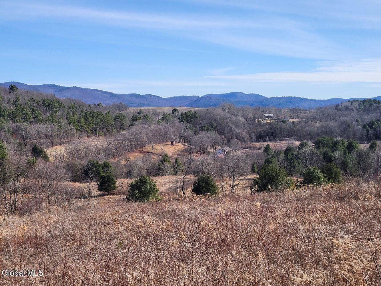 1057 County Route 64 Shushan NY 12873