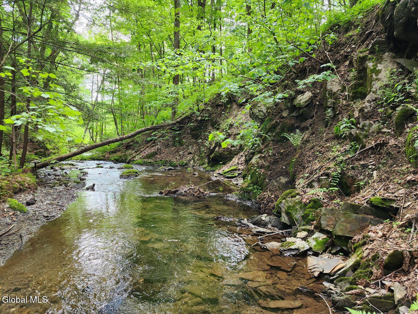 1057 County Route 64 Shushan NY 12873