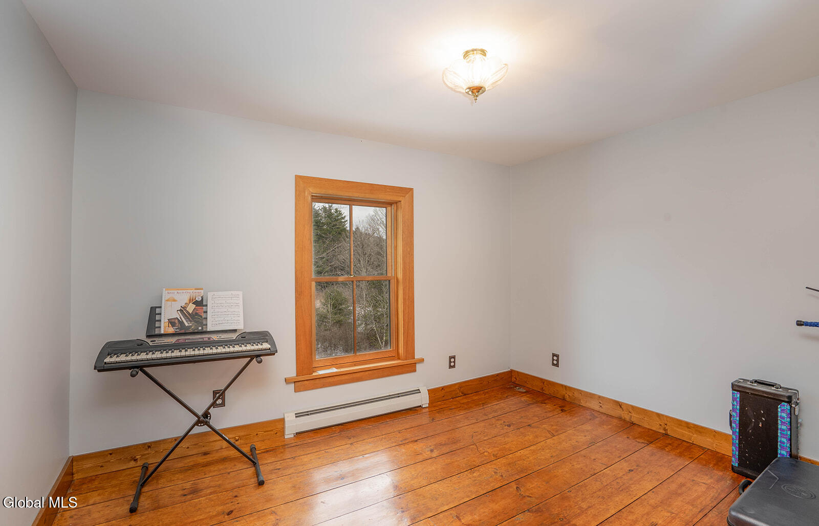1057 County Route 64 Shushan NY 12873