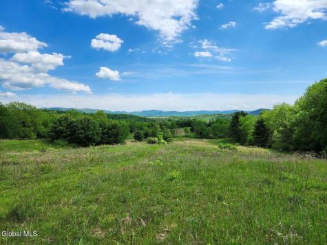 1057 County Route 64 Shushan NY 12873