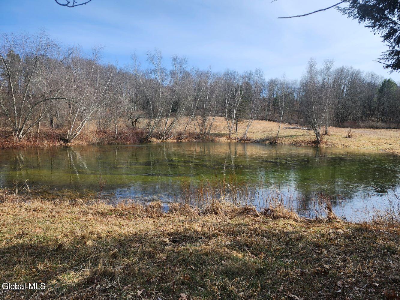 1057 County Route 64 Shushan NY 12873