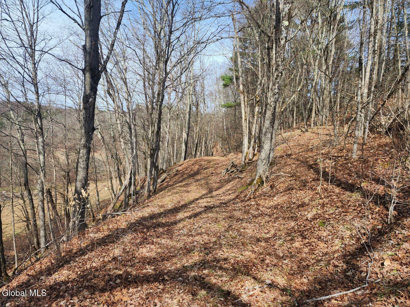 1057 County Route 64 Shushan NY 12873