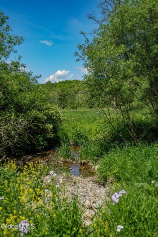 1057 County Route 64 Shushan NY 12873