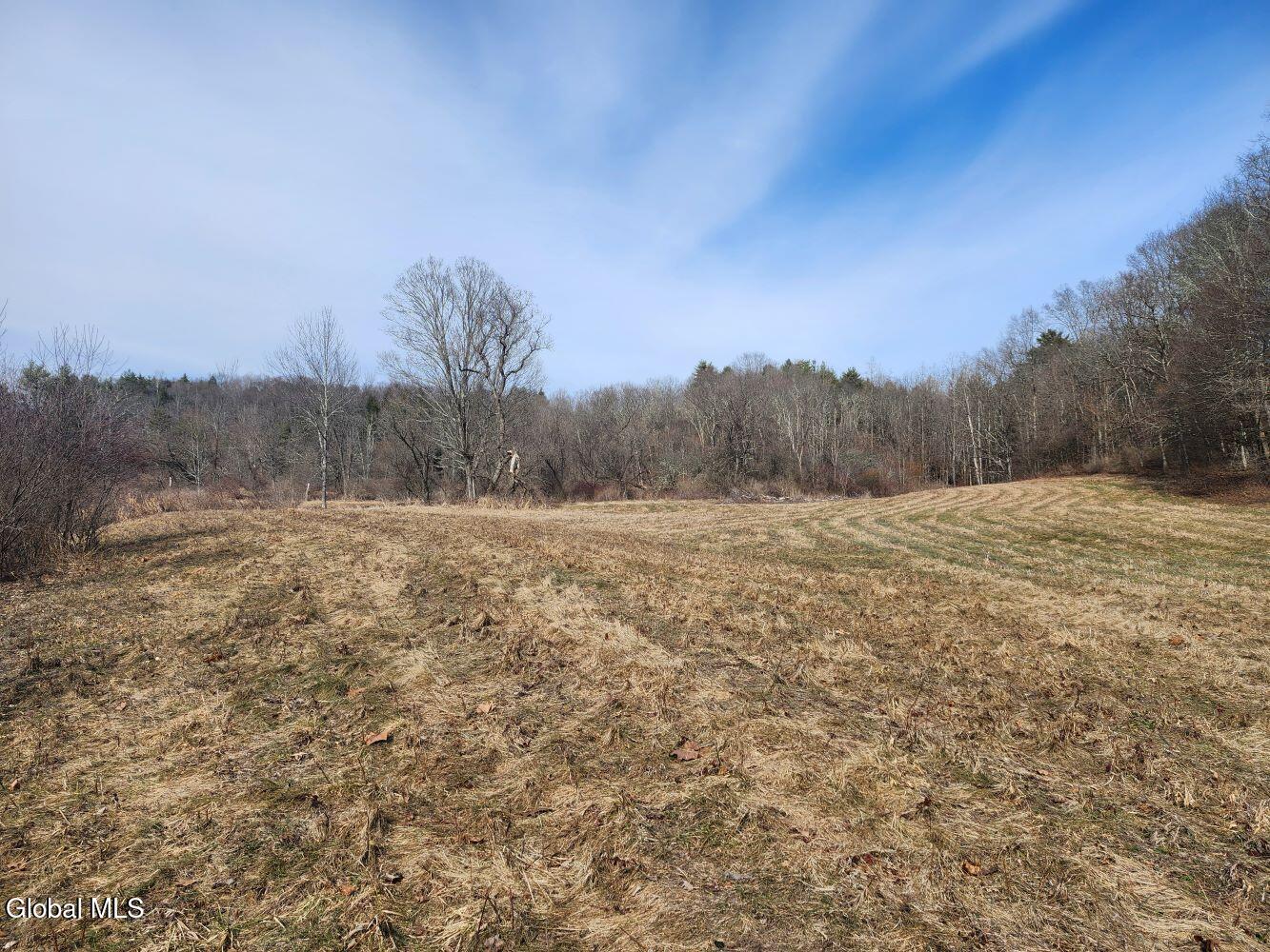 1057 County Route 64 Shushan NY 12873