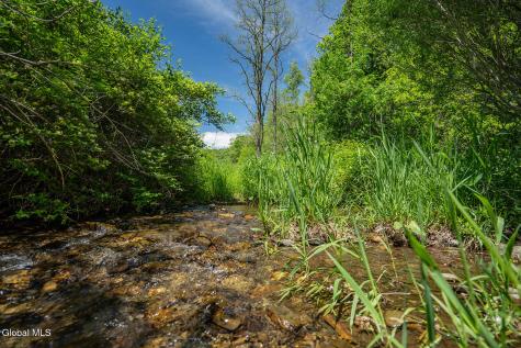 1057 County Route 64 Shushan NY 12873