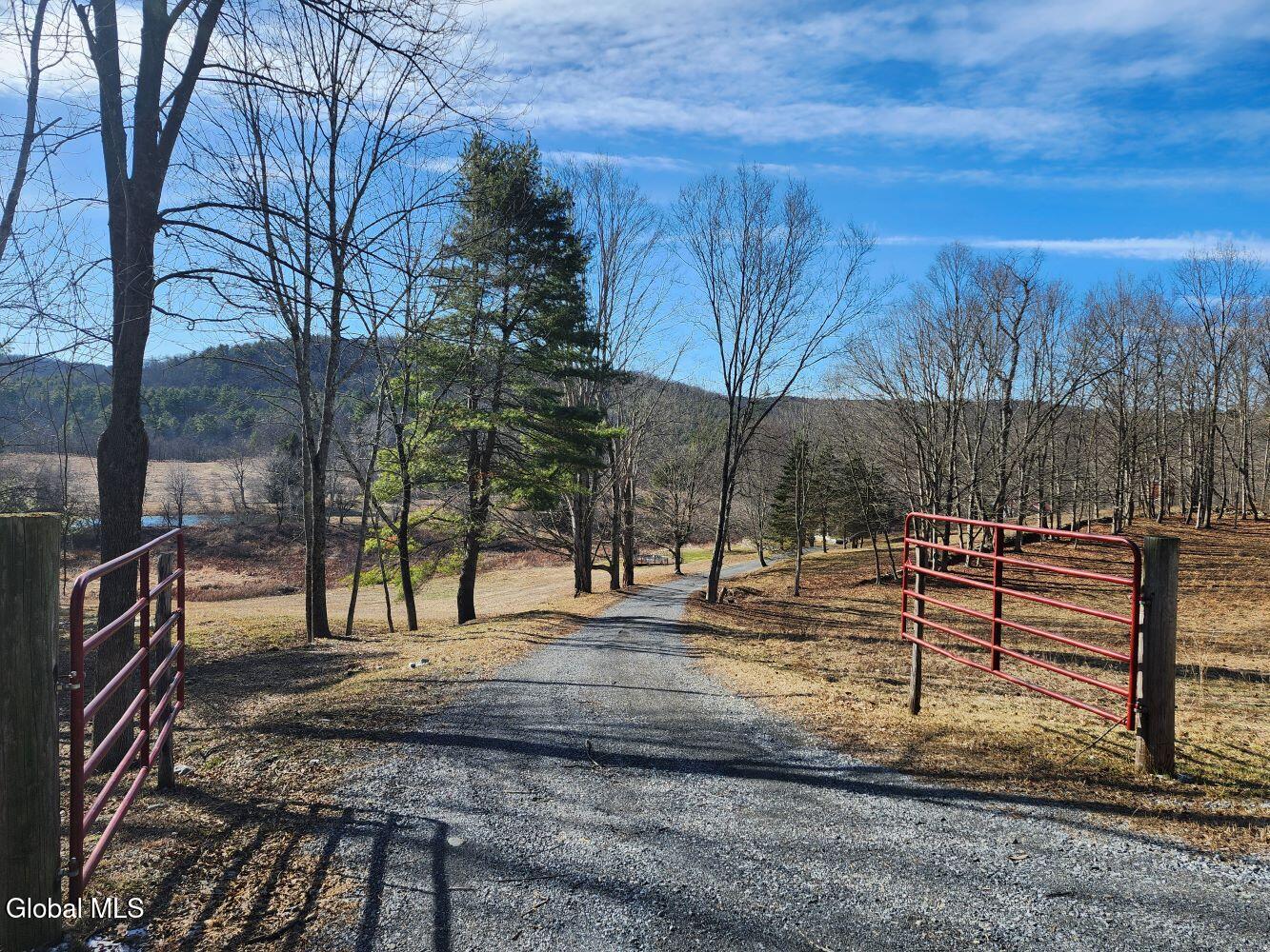 1057 County Route 64 Shushan NY 12873