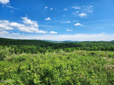 1057 County Route 64 Shushan NY 12873