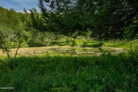 1057 County Route 64 Shushan NY 12873