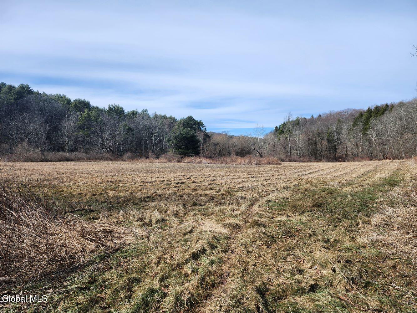 1057 County Route 64 Shushan NY 12873