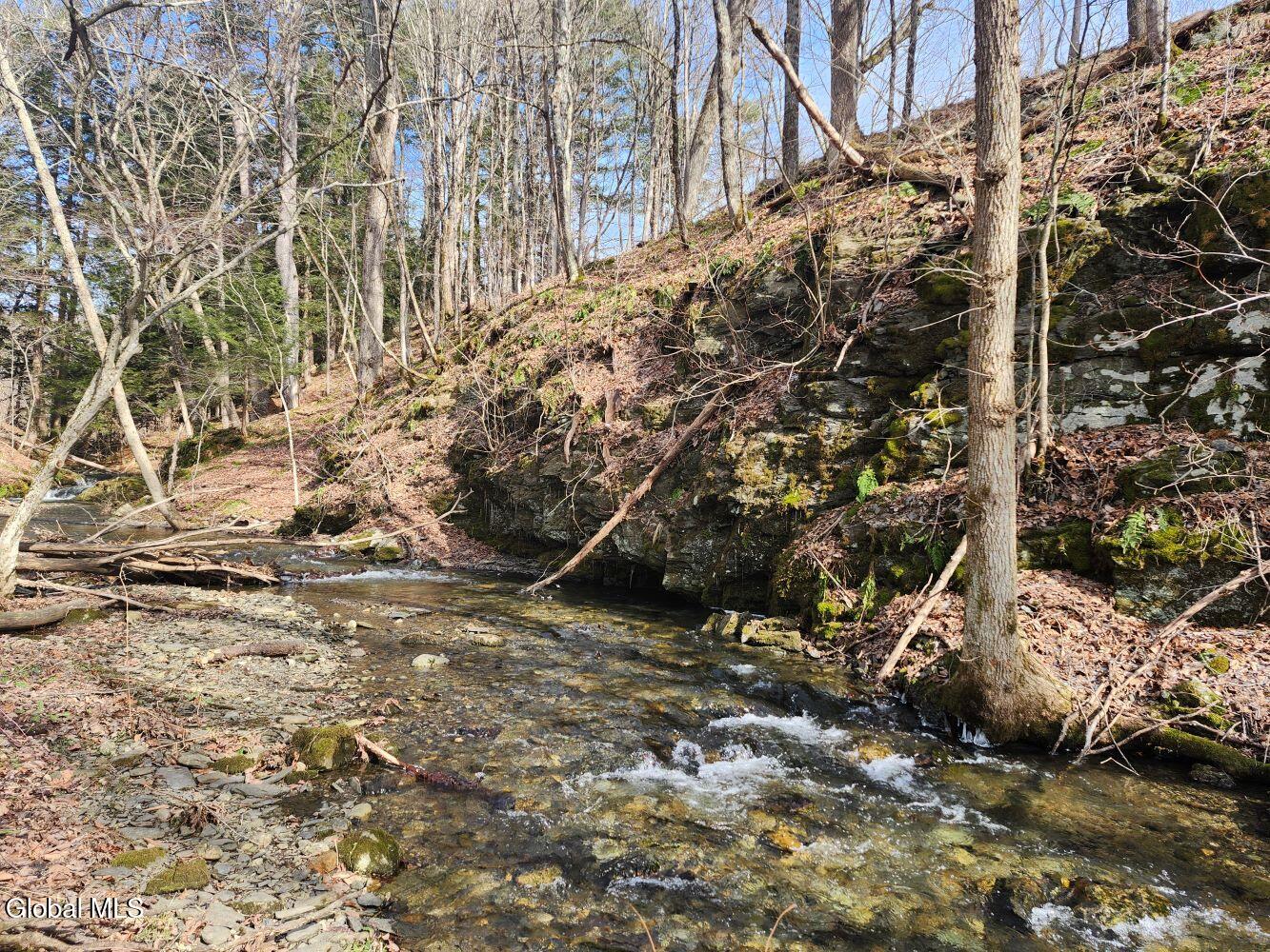 1057 County Route 64 Shushan NY 12873