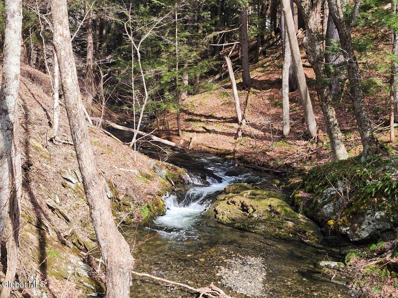 1057 County Route 64 Shushan NY 12873