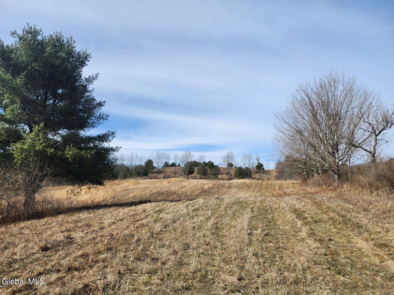 1057 County Route 64 Shushan NY 12873