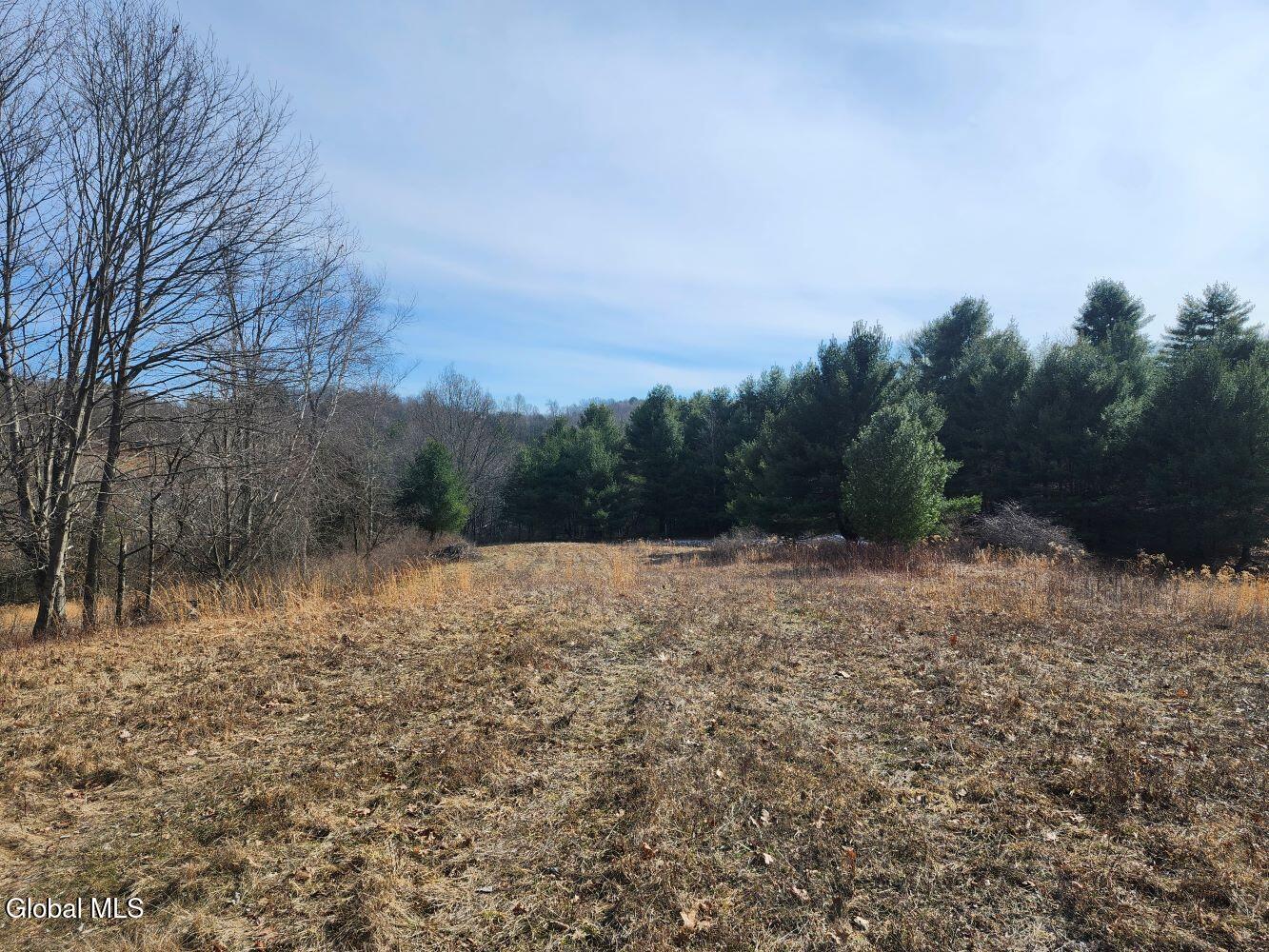 1057 County Route 64 Shushan NY 12873