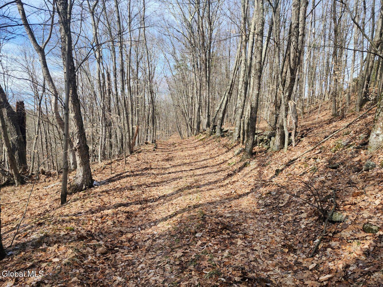1057 County Route 64 Shushan NY 12873