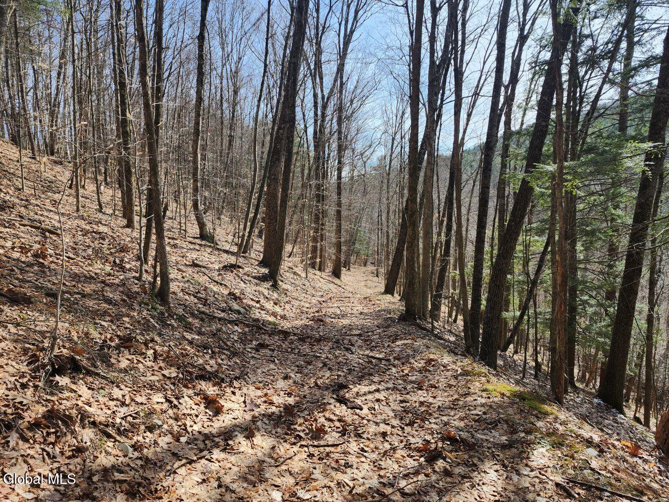1057 County Route 64 Shushan NY 12873