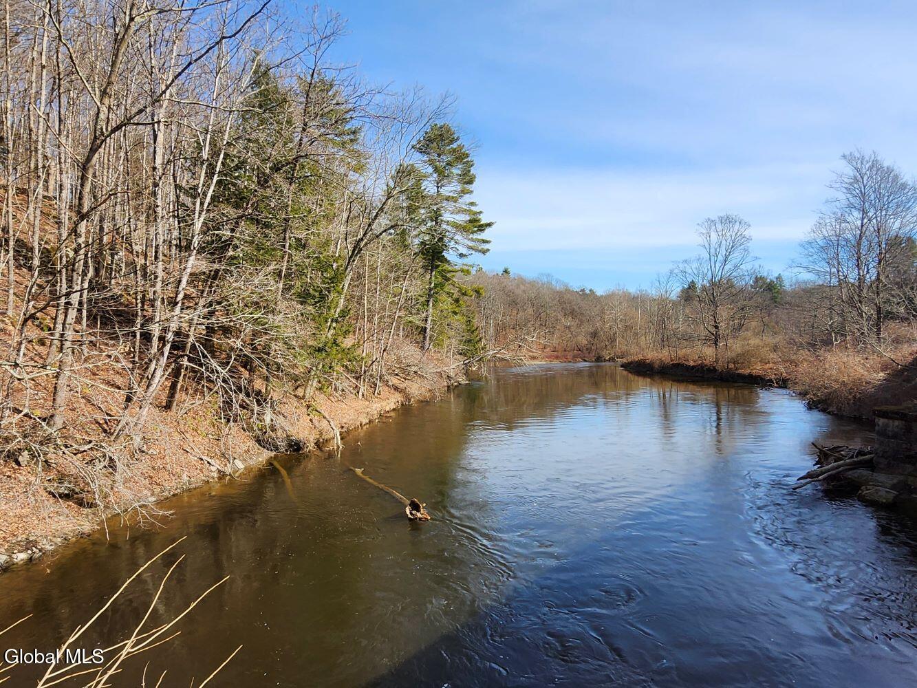 1057 County Route 64 Shushan NY 12873