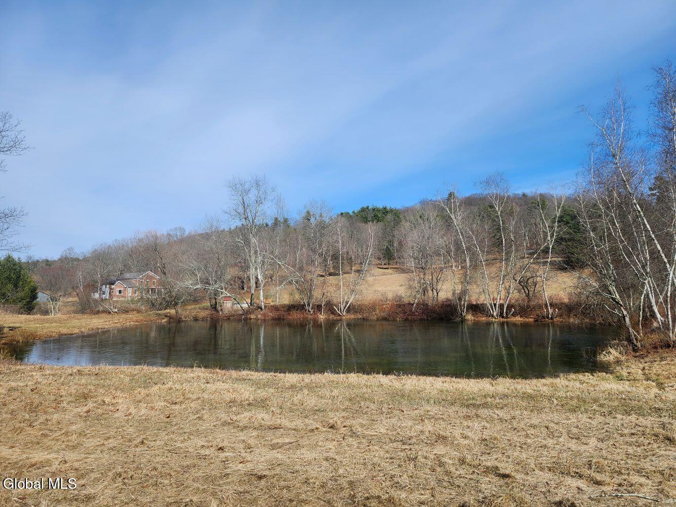1057 County Route 64 Shushan NY 12873