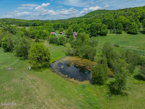 1057 County Route 64 Shushan NY 12873