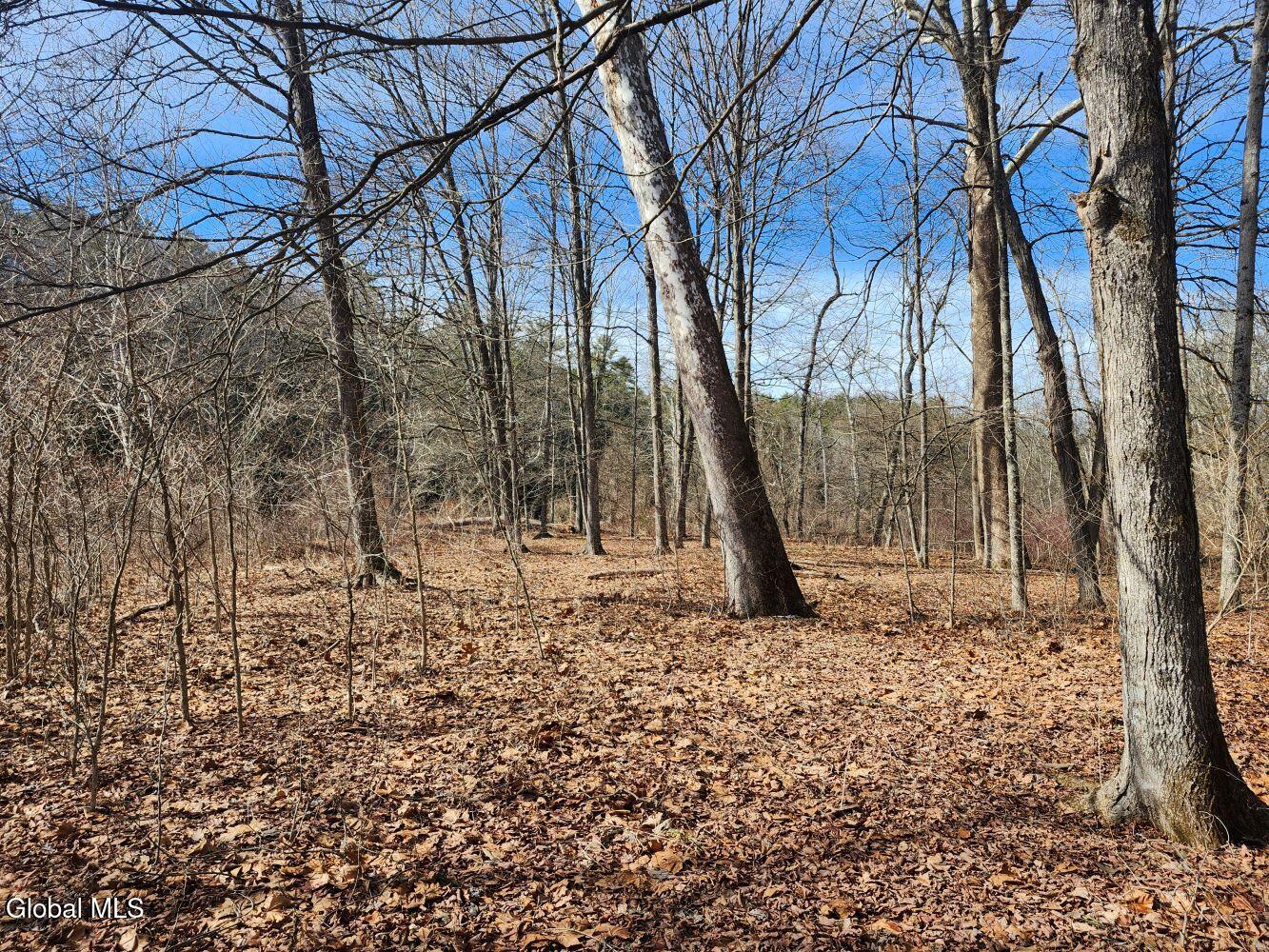 1057 County Route 64 Shushan NY 12873
