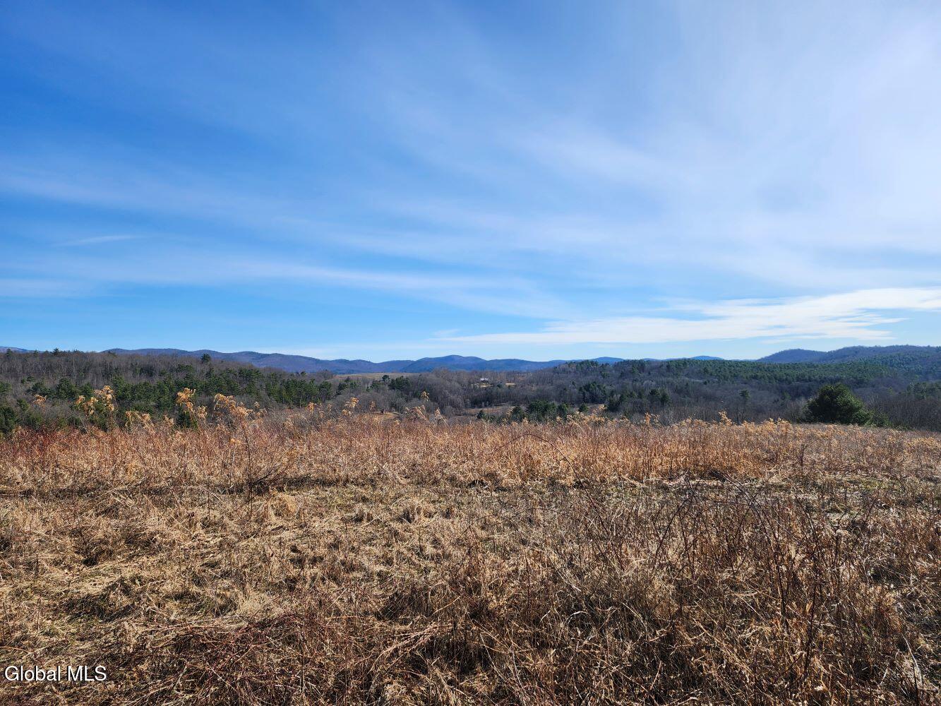 1057 County Route 64 Shushan NY 12873