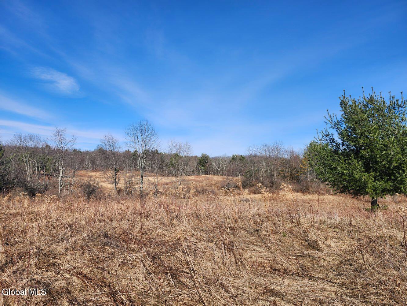 1057 County Route 64 Shushan NY 12873