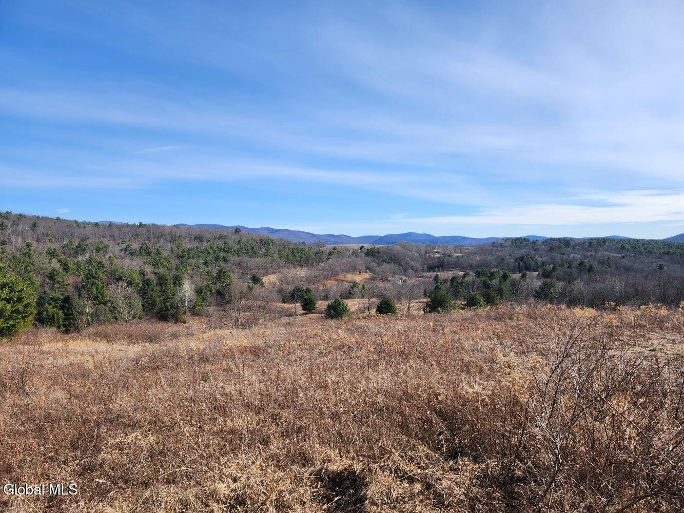 1057 County Route 64 Shushan NY 12873