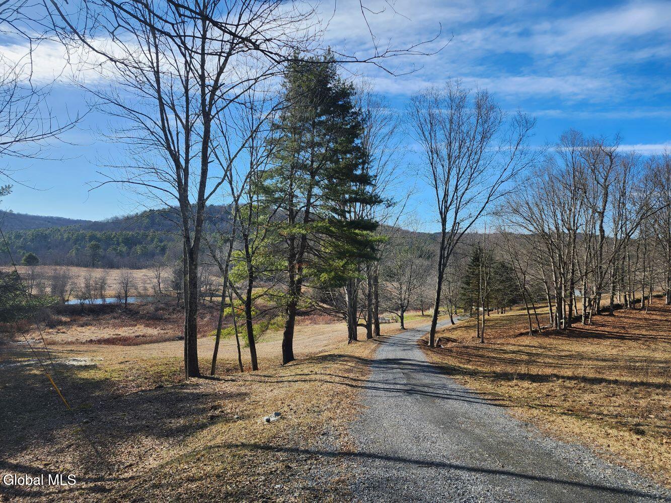 1057 County Route 64 Shushan NY 12873