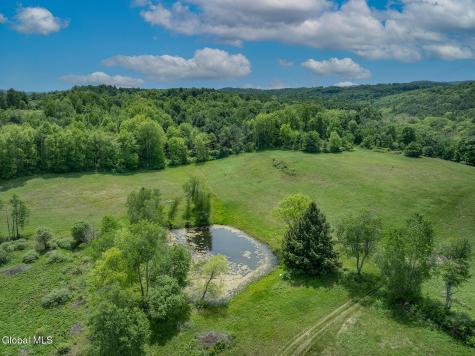 1057 County Route 64 Shushan NY 12873