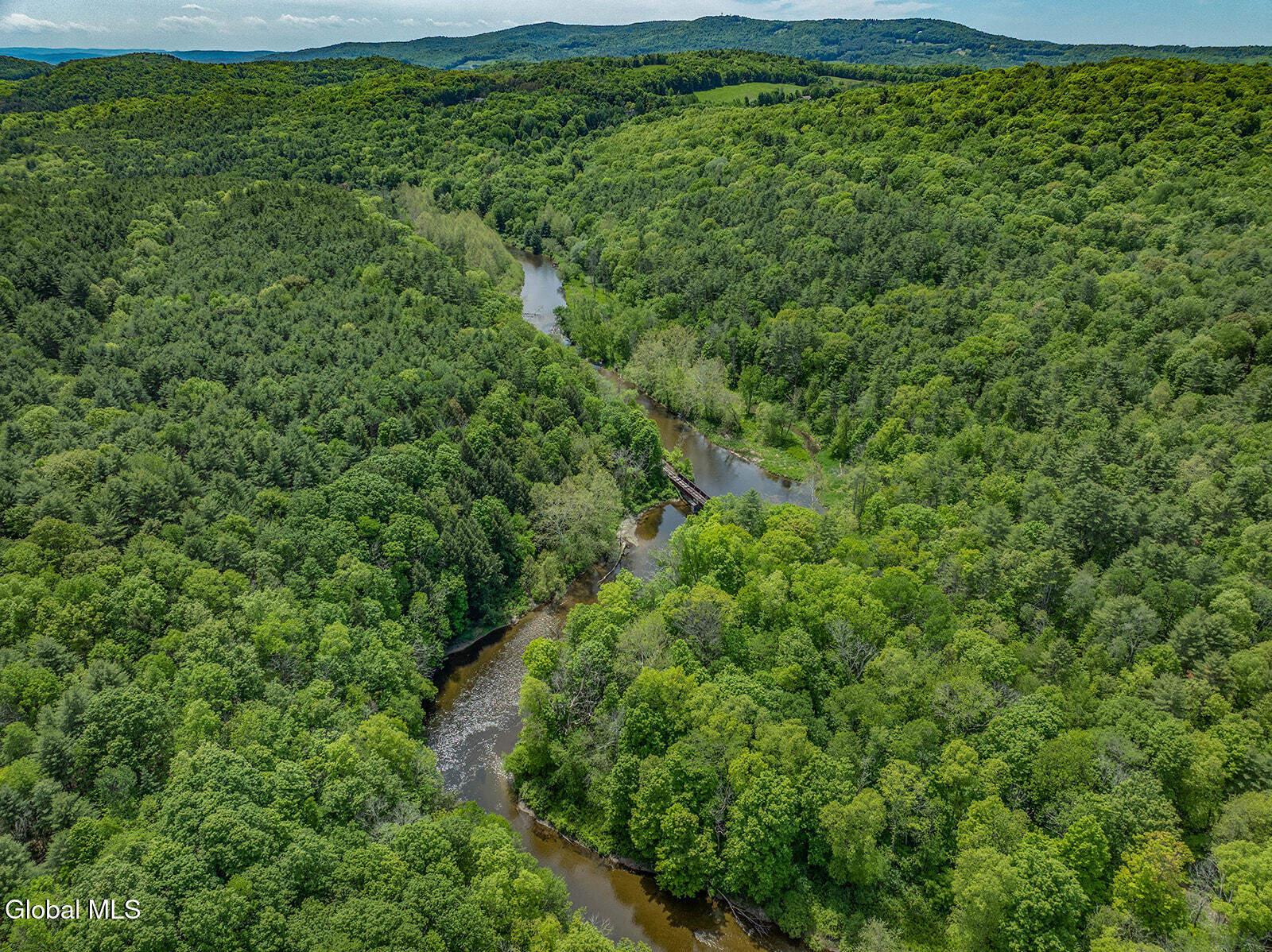 1057 County Route 64 Shushan NY 12873