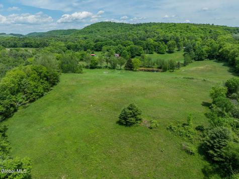 1057 County Route 64 Shushan NY 12873
