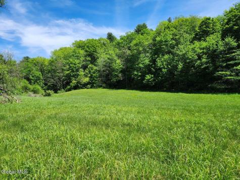 1057 County Route 64 Shushan NY 12873