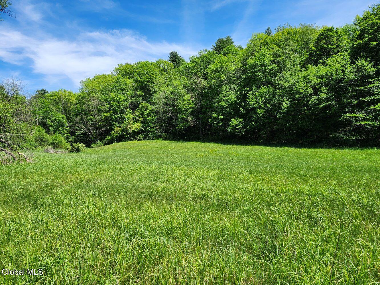 1057 County Route 64 Shushan NY 12873