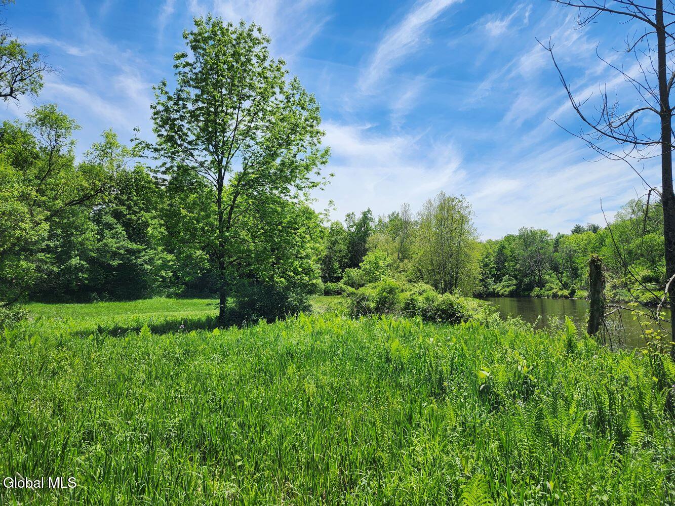 1057 County Route 64 Shushan NY 12873