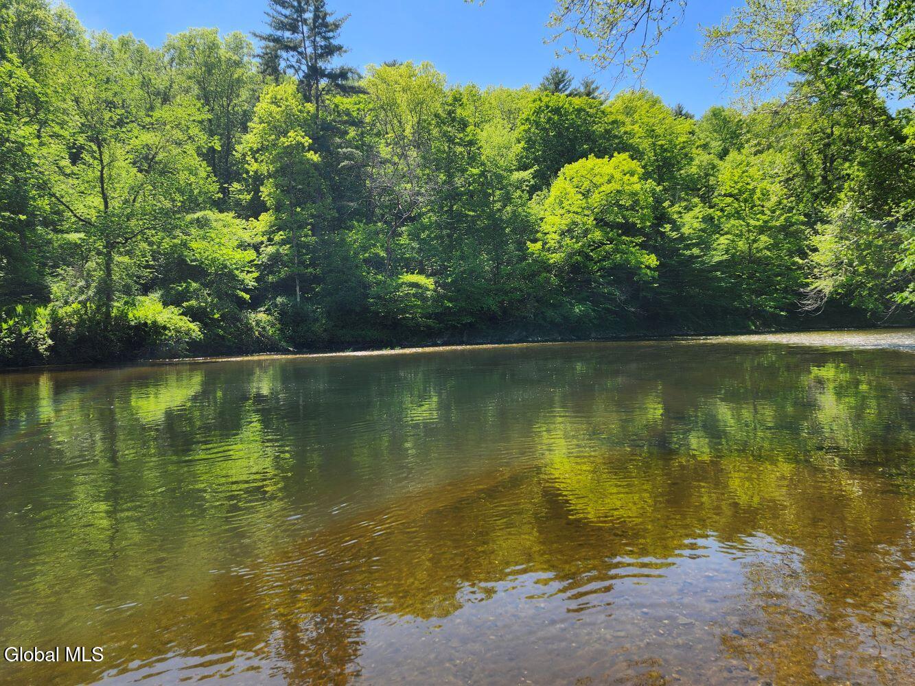 1057 County Route 64 Shushan NY 12873