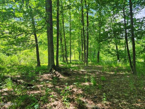 1057 County Route 64 Shushan NY 12873