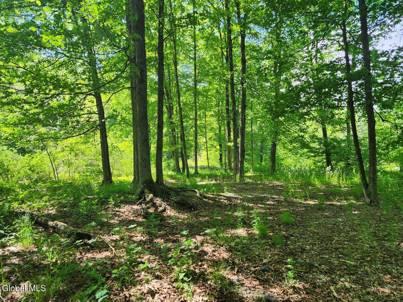 1057 County Route 64 Shushan NY 12873