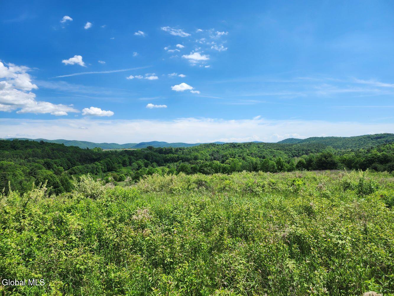 1057 County Route 64 Shushan NY 12873