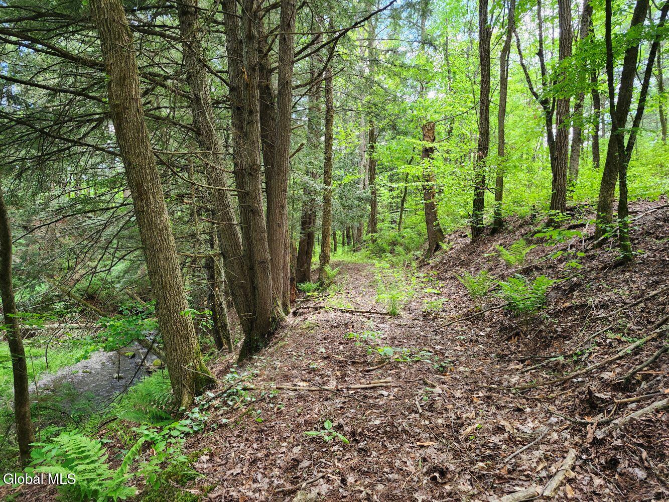 1057 County Route 64 Shushan NY 12873