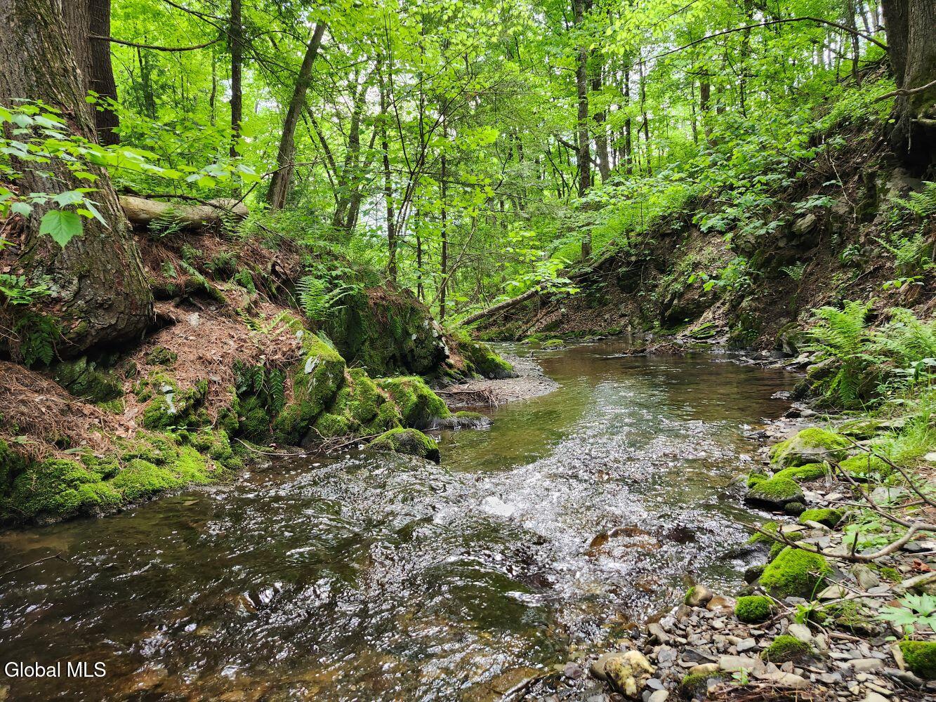 1057 County Route 64 Shushan NY 12873