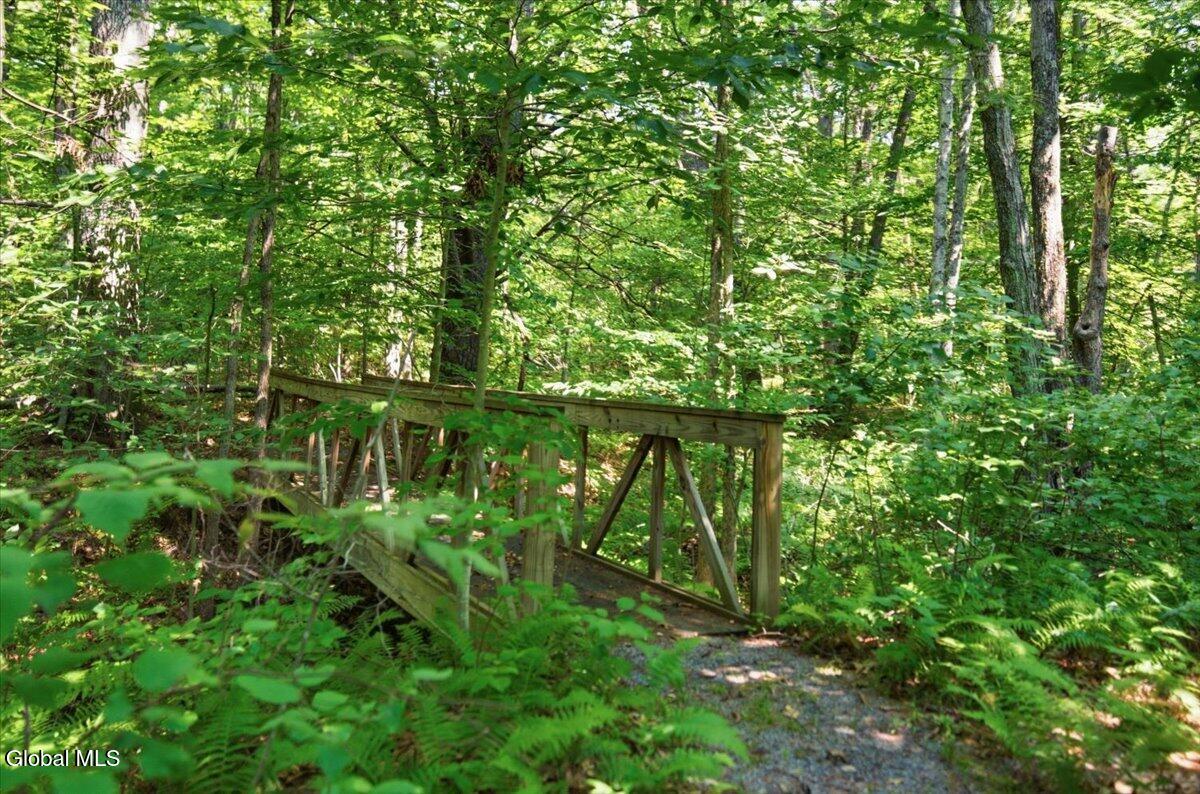 7 Thornapple Drive Gansevoort NY 12831