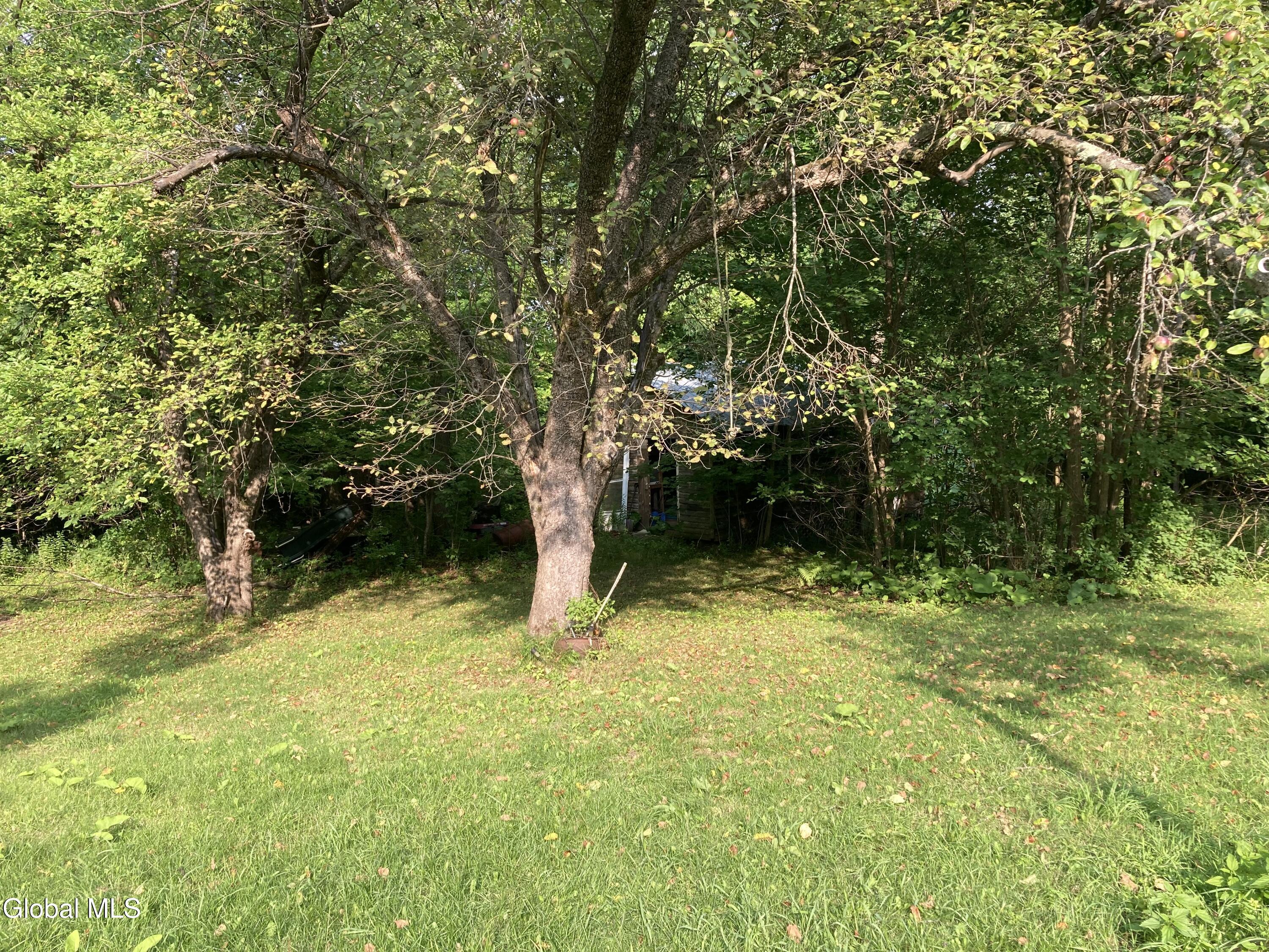283 Old Chilson Road Ticonderoga NY 12883